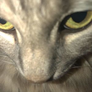 Meet your Posher, Victoria